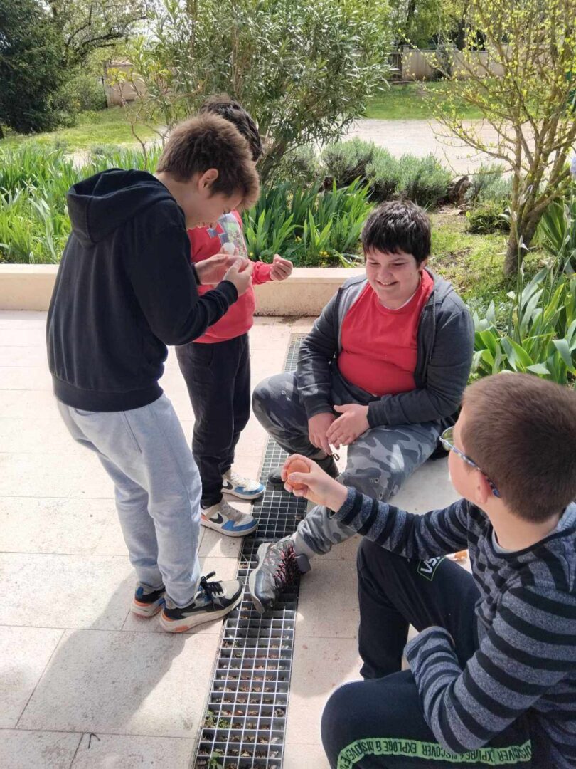 Potraga za pisanicama u PŠ Kršan (6)
