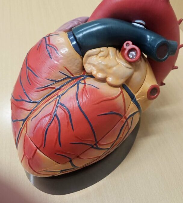 Zahvala na donaciji bonova u Konzumovom projektu Veliki mali talenti 3